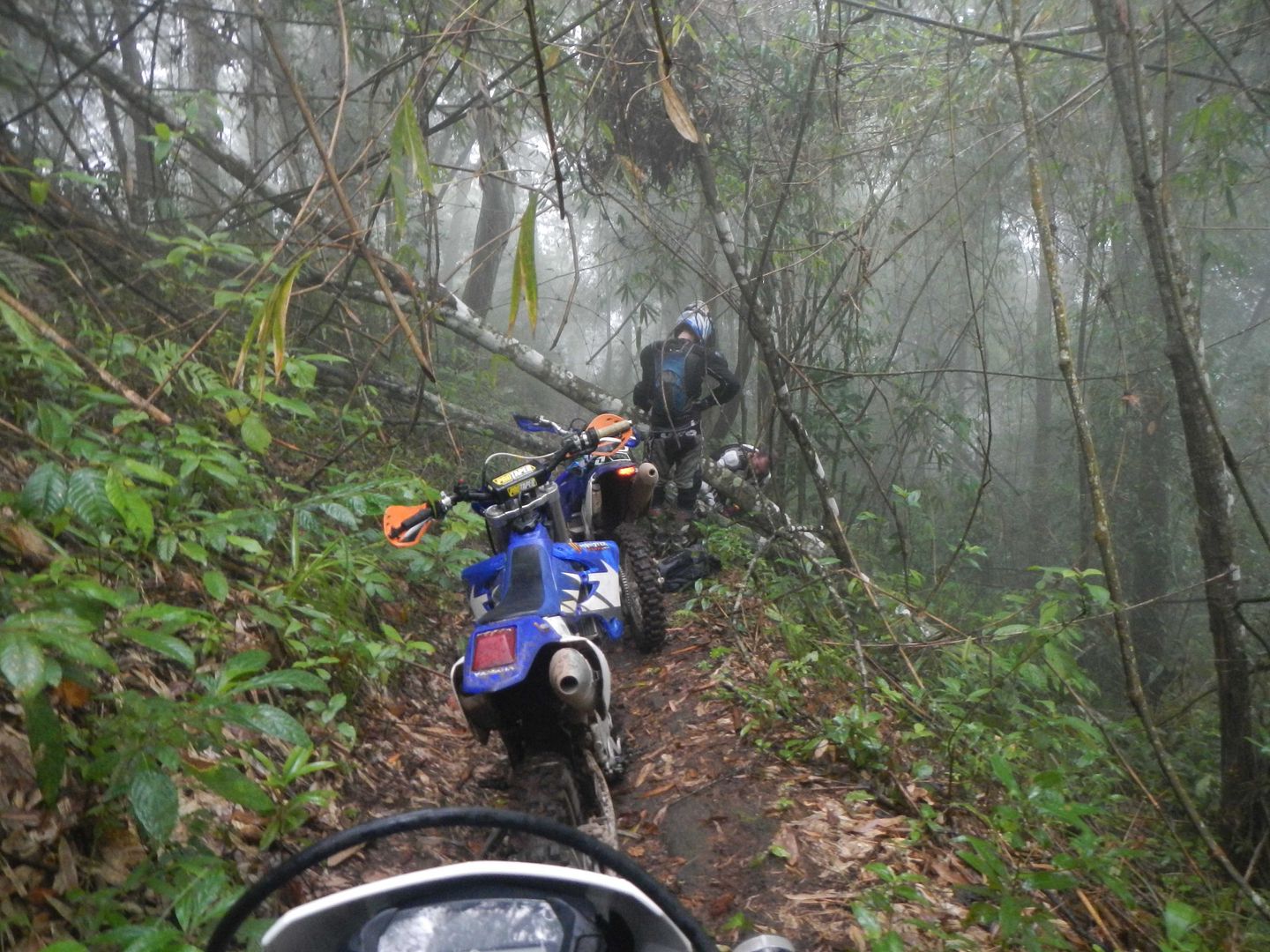 honda 1000 adventure bike